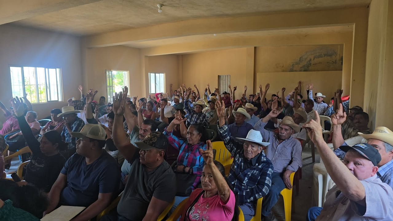 Votacion de personas socias en la Asamblea Ordinaria Anual 2025 de CAOLE